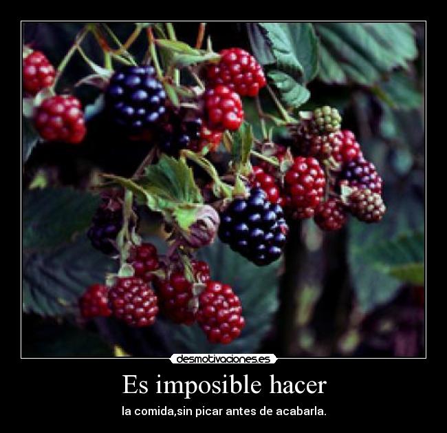 Es imposible hacer - la comida,sin picar antes de acabarla.