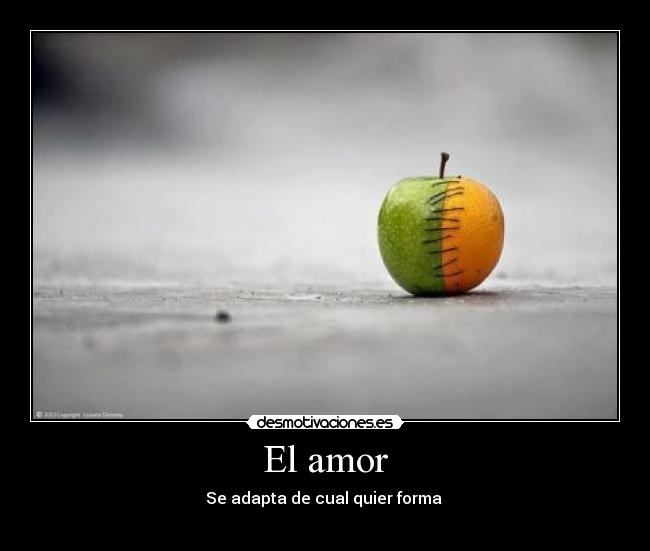 El amor -