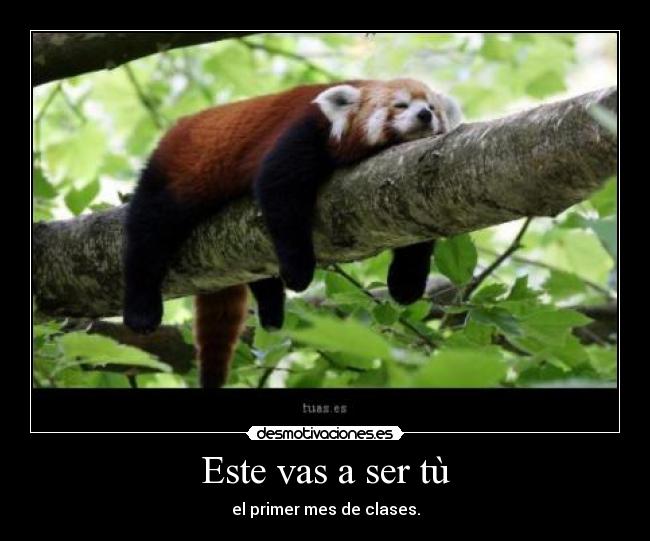 Este vas a ser tù - 