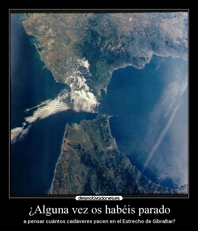 carteles una pregunta retorica desmotivaciones