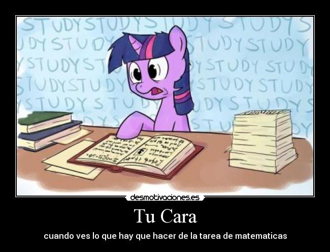 carteles twilinght sparkle brony little pony cara matematicas leoteredex facebook lol pal facebook desmotivaciones