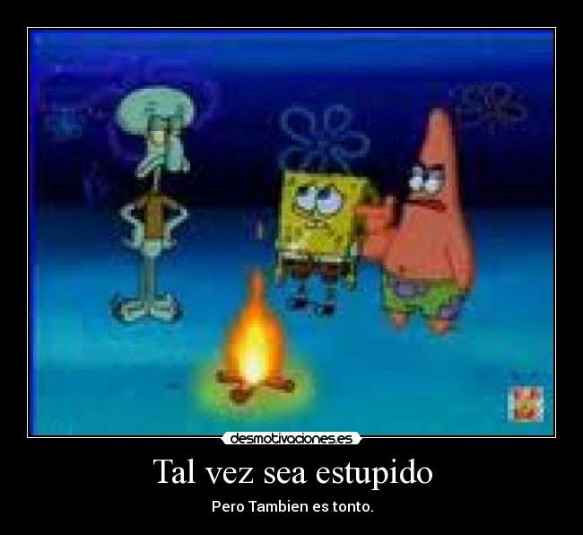 Tal vez sea estupido - Pero Tambien es tonto.