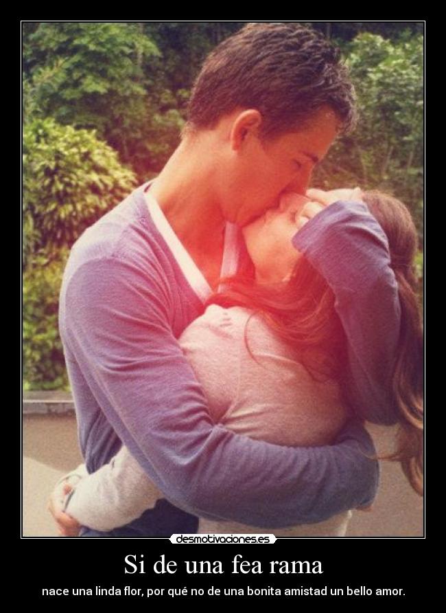 Si de una fea rama - nace una linda flor, por qué no de una bonita amistad un bello amor.
