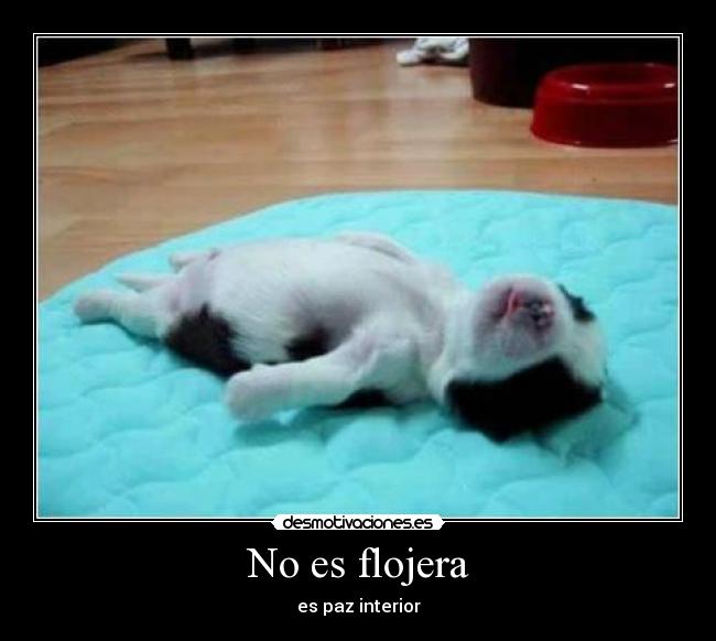 No es flojera -