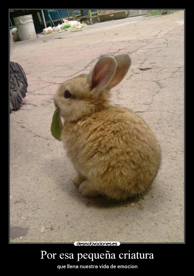 Por esa pequeña criatura - que llena nuestra vida de emocion