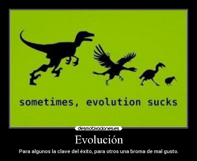 carteles velociraptor archaeopterix gallina rara kiwi esto correcto pero menos si gracioso desmotivaciones