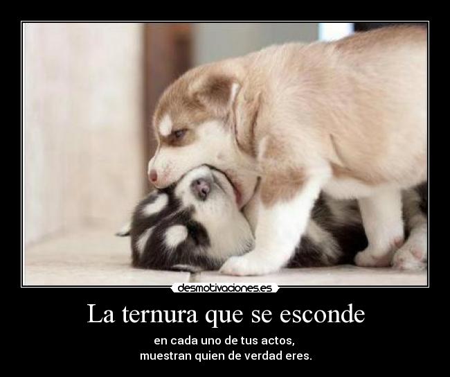 La ternura que se esconde - en cada uno de tus actos,
muestran quien de verdad eres.