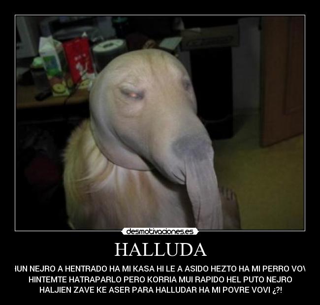 HALLUDA - HUN NEJRO A HENTRADO HA MI KASA HI LE A ASIDO HEZTO HA MI PERRO VOVI
HINTEMTE HATRAPARLO PERO KORRIA MUI RAPIDO HEL PUTO NEJRO
HALJIEN ZAVE KE ASER PARA HALLUDAR HA MI POVRE VOVI ¿?!