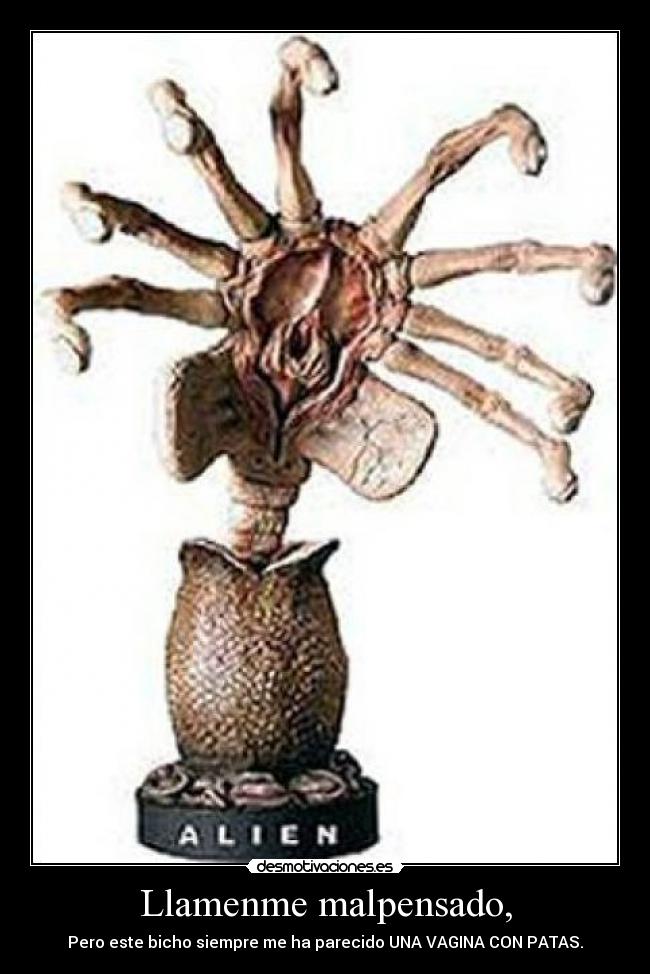 Llamenme malpensado, - Pero este bicho siempre me ha parecido UNA VAGINA CON PATAS.