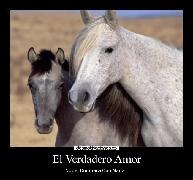 El Verdadero Amor -