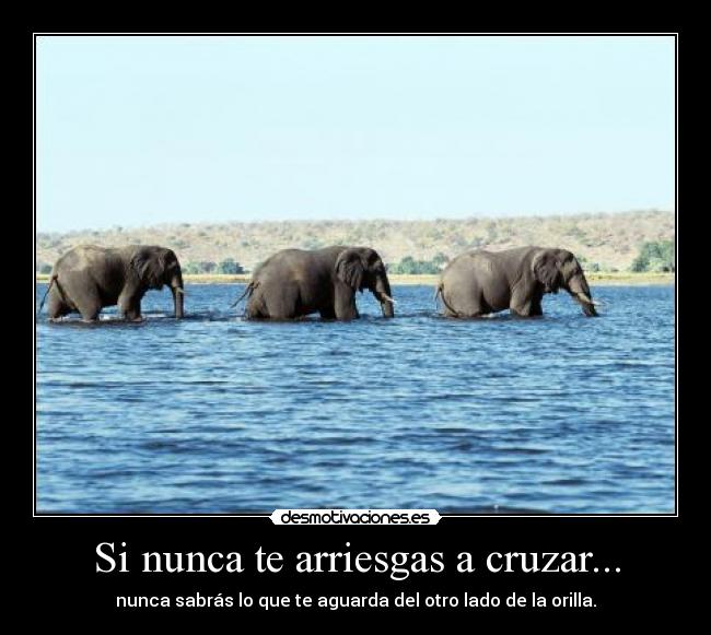 Si nunca te arriesgas a cruzar... - nunca sabrás lo que te aguarda del otro lado de la orilla.