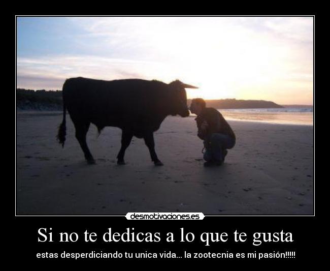 Si no te dedicas a lo que te gusta - estas desperdiciando tu unica vida... la zootecnia es mi pasión!!!!!