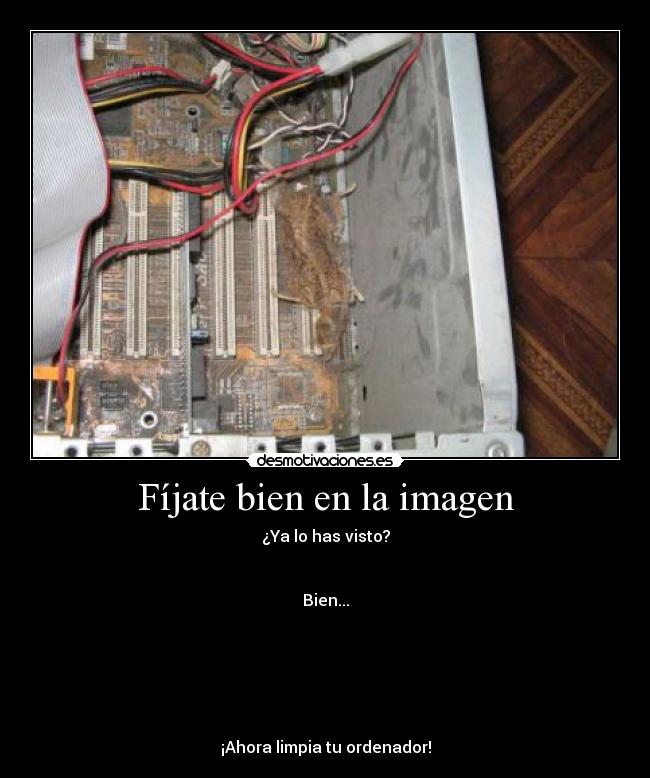 Fíjate bien en la imagen - ¿Ya lo has visto?
Bien...
¡Ahora limpia tu ordenador!