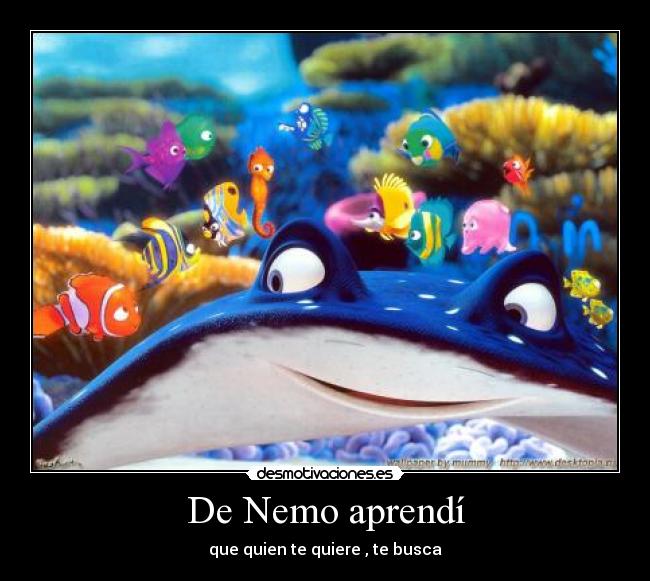 De Nemo aprendí - que quien te quiere , te busca