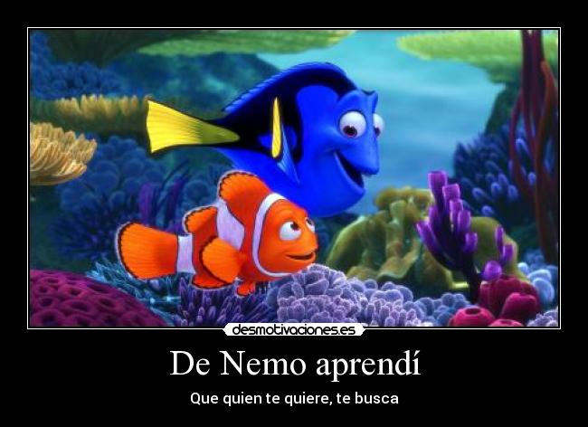 De Nemo aprendí - 