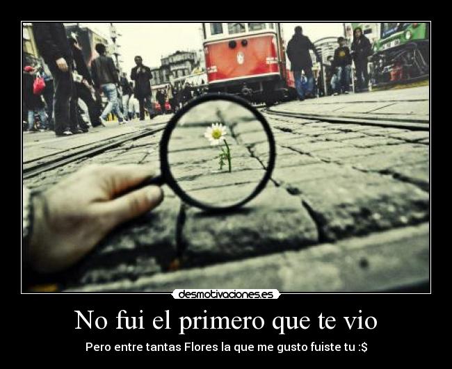 No fui el primero que te vio - Pero entre tantas Flores la que me gusto fuiste tu :$