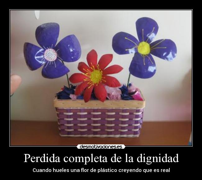 Perdida completa de la dignidad -