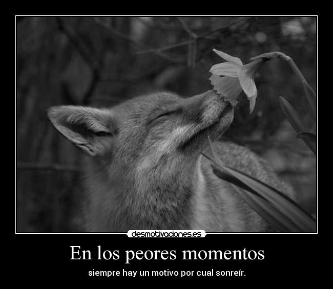 carteles dreadja resubido desde dreadk con unas palabras sustituidas desmotivaciones