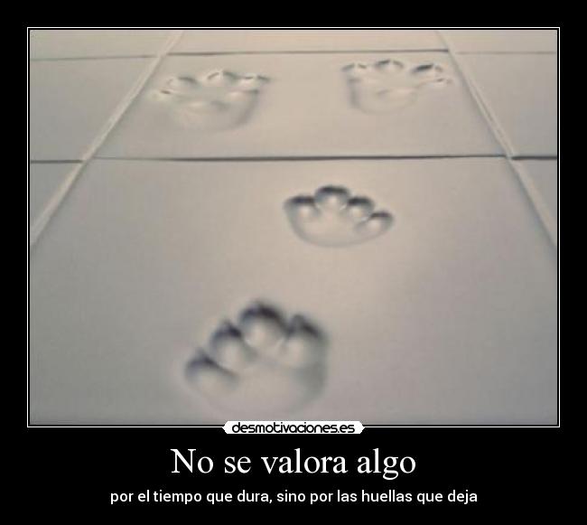 carteles valora algo desmotivaciones