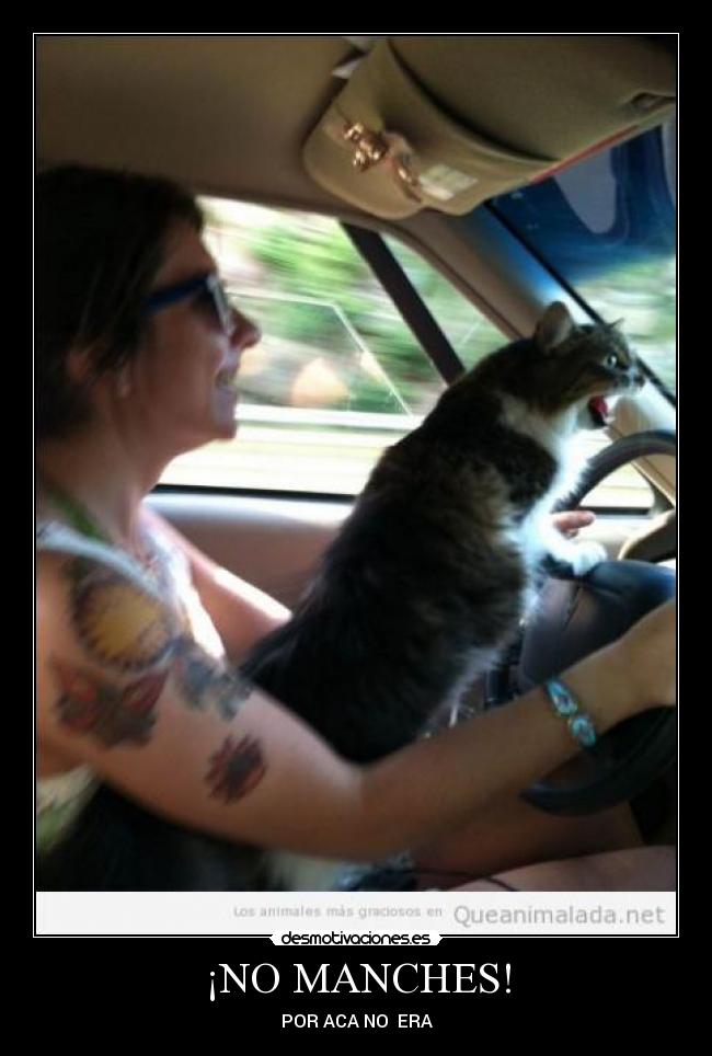 ¡NO MANCHES! - POR ACA NO  ERA