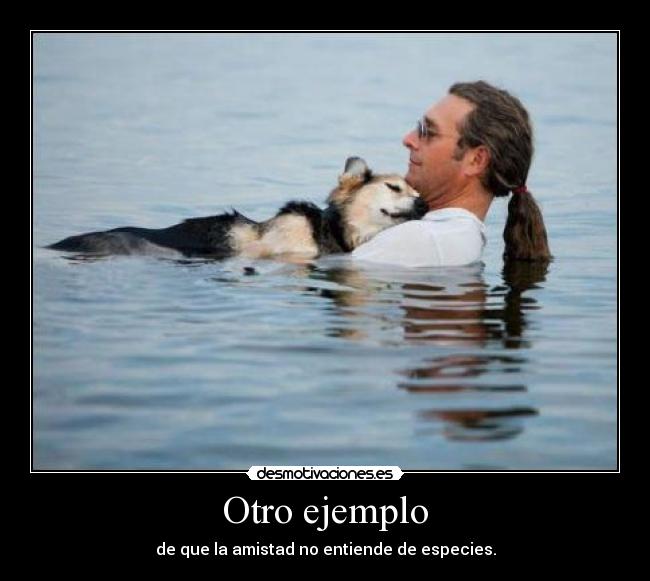 Otro ejemplo - de que la amistad no entiende de especies.