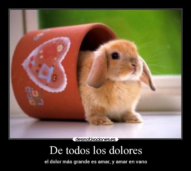 De todos los dolores -
