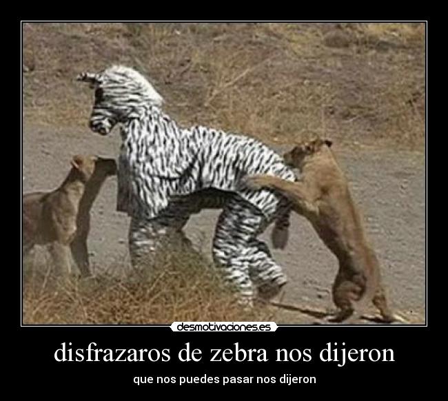 disfrazaros de zebra nos dijeron - que nos puedes pasar nos dijeron