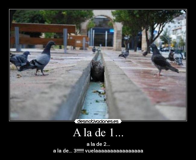 A la de 1... - a la de 2...
a la de... 3!!!!!! vuelaaaaaaaaaaaaaaaa