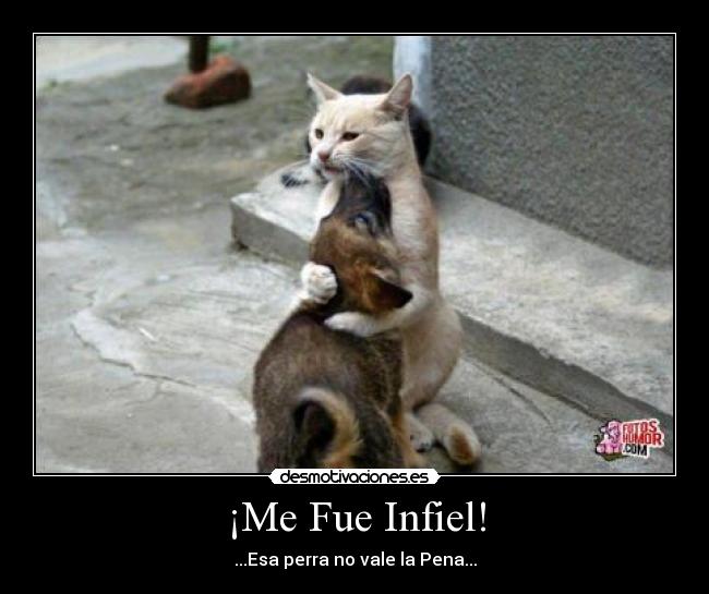 ¡Me Fue Infiel! -