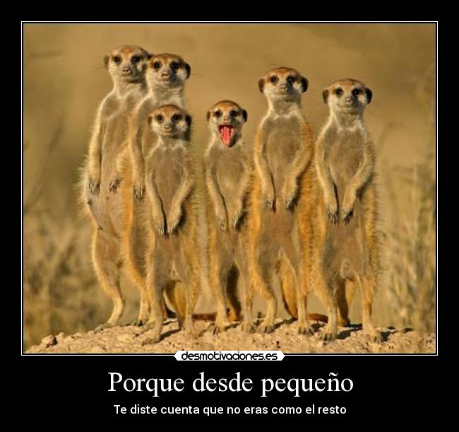 carteles loquito22 desmotivaciones