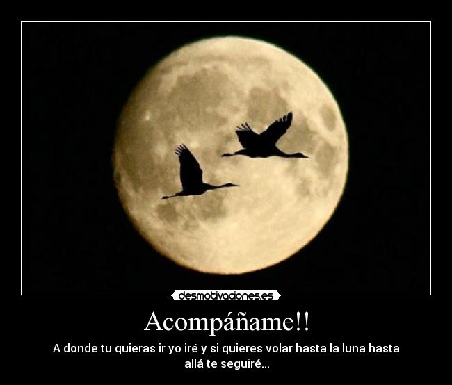 Acompáñame!! - 