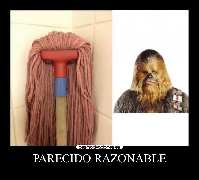 PARECIDO RAZONABLE - 