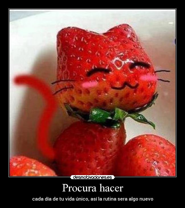 Procura hacer - 