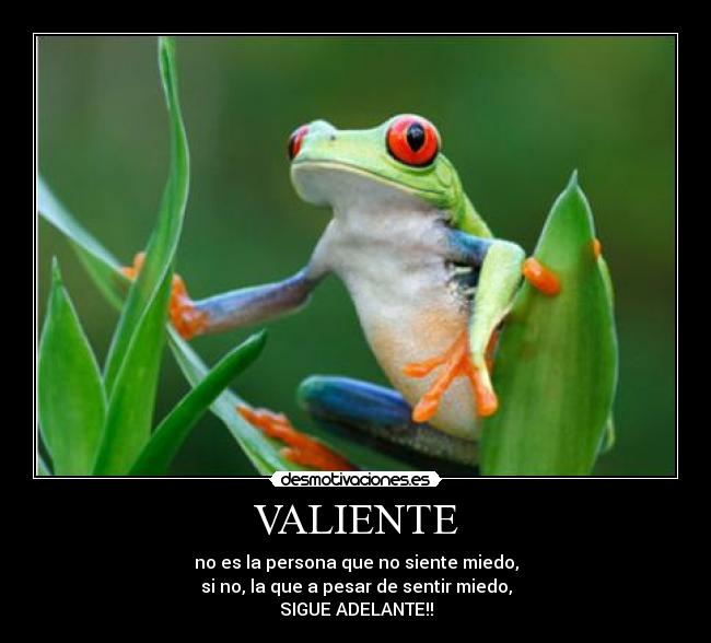 VALIENTE - no es la persona que no siente miedo,
si no, la que a pesar de sentir miedo,
SIGUE ADELANTE!!