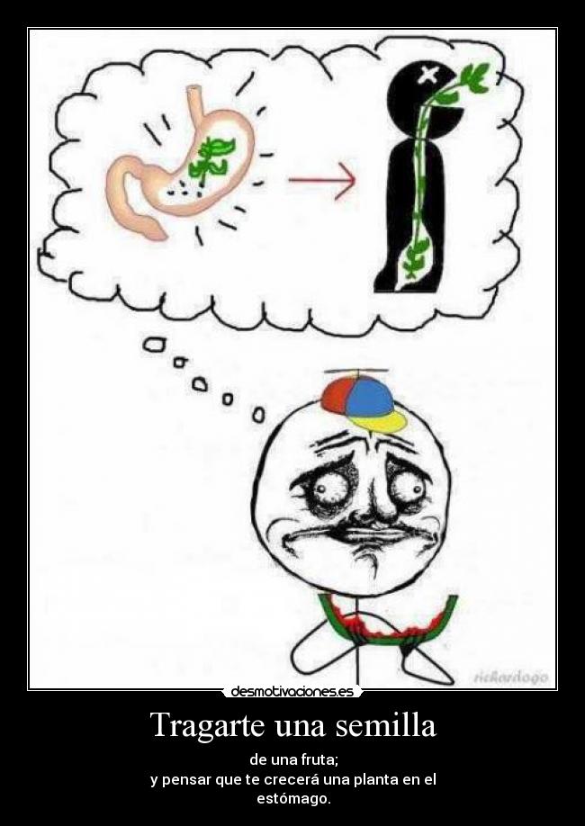 Tragarte una semilla - de una fruta;
y pensar que te crecerá una planta en el
estómago.