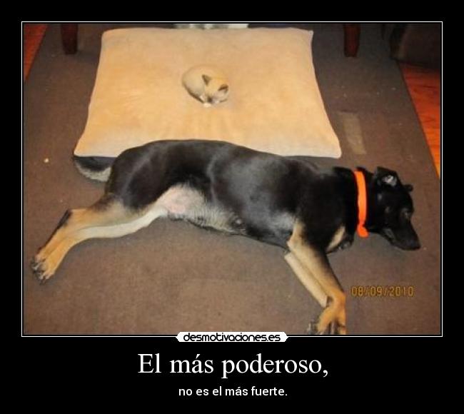 El más poderoso, -