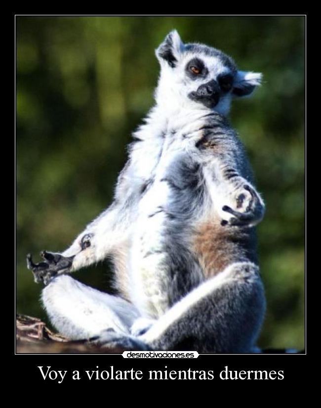 carteles clanpiedra piedra clancamion desmotivaciones