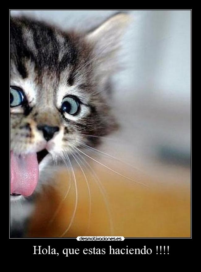 carteles fefef desmotivaciones