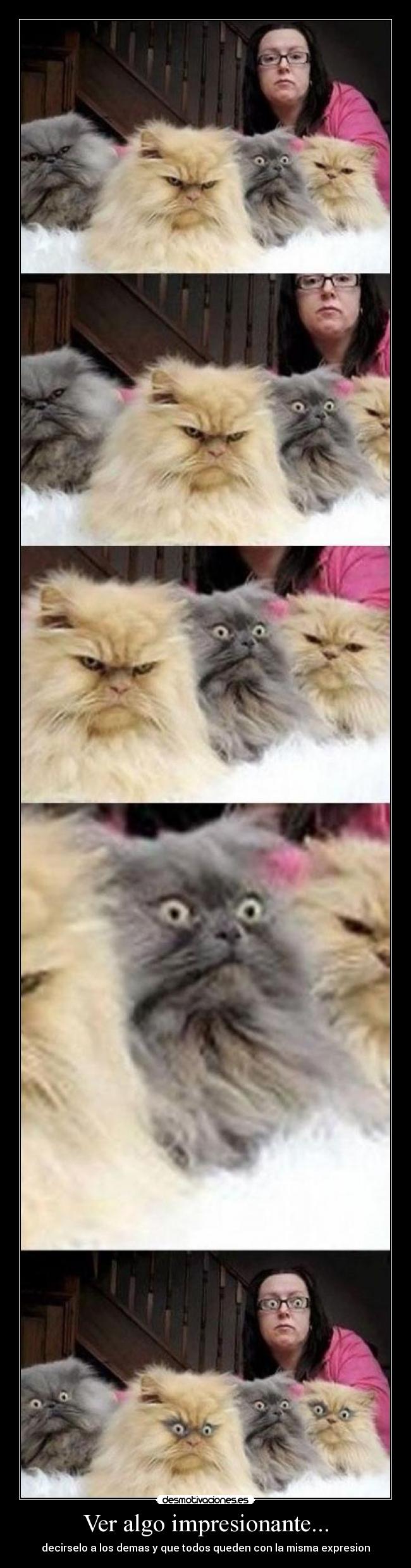 Ver algo impresionante... - 