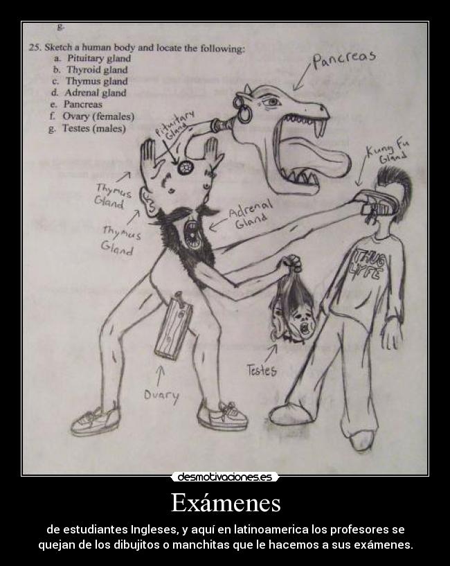 Exámenes - de estudiantes Ingleses, y aquí en latinoamerica los profesores se
quejan de los dibujitos o manchitas que le hacemos a sus exámenes.