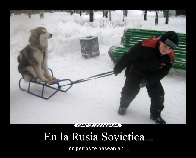 carteles rggrg desmotivaciones