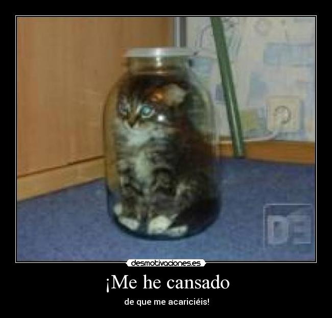 ¡Me he cansado -