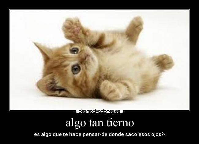 algo tan tierno - es algo que te hace pensar-de donde saco esos ojos?-