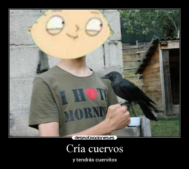 Cría cuervos - y tendrás cuervitos