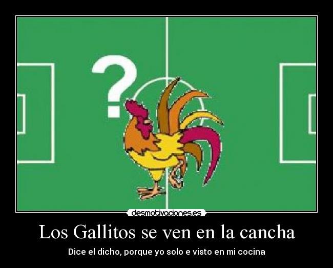 Los Gallitos se ven en la cancha -