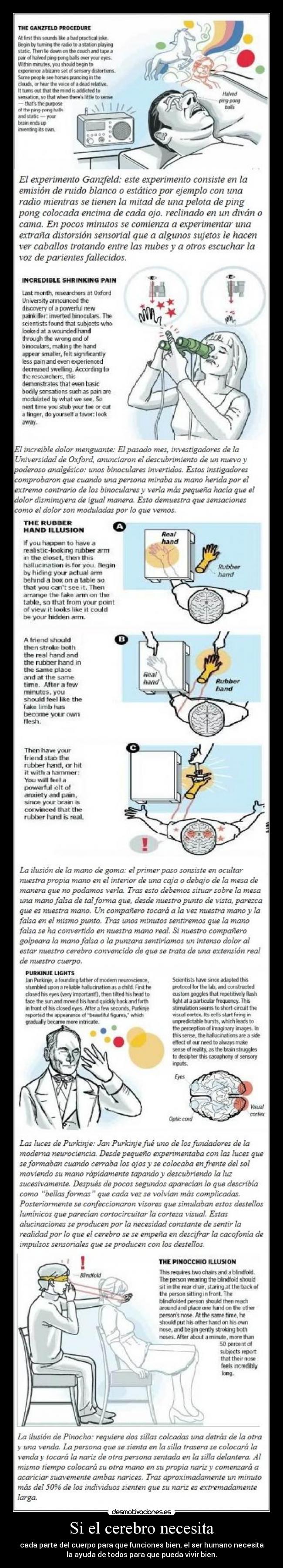 carteles muerte xxx desmotivaciones