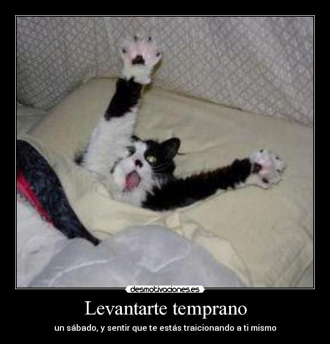 Levantarte temprano - 