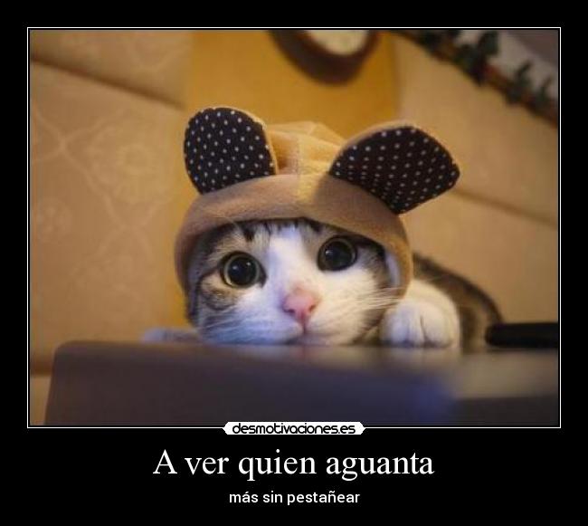 A ver quien aguanta -