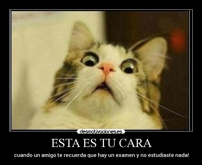 ESTA ES TU CARA -