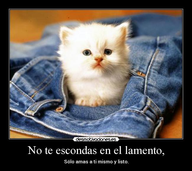 No te escondas en el lamento, - Sólo amas a ti mismo y listo.